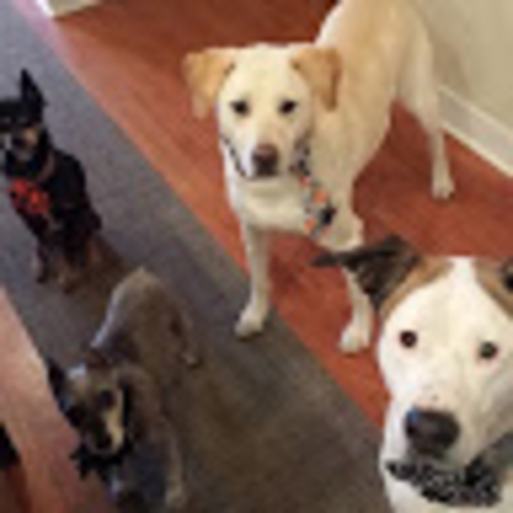 Meet your Posher, Tiffany